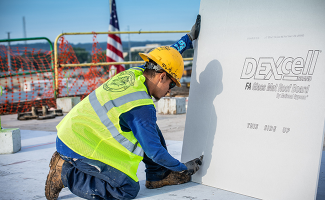 Why gold bond dexcell